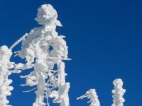 36 da Langhaxad ft_c